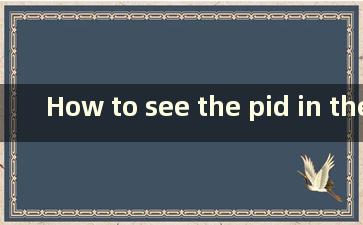 How to see the pid in the task manager（如何在任务管理器中查看进程id）